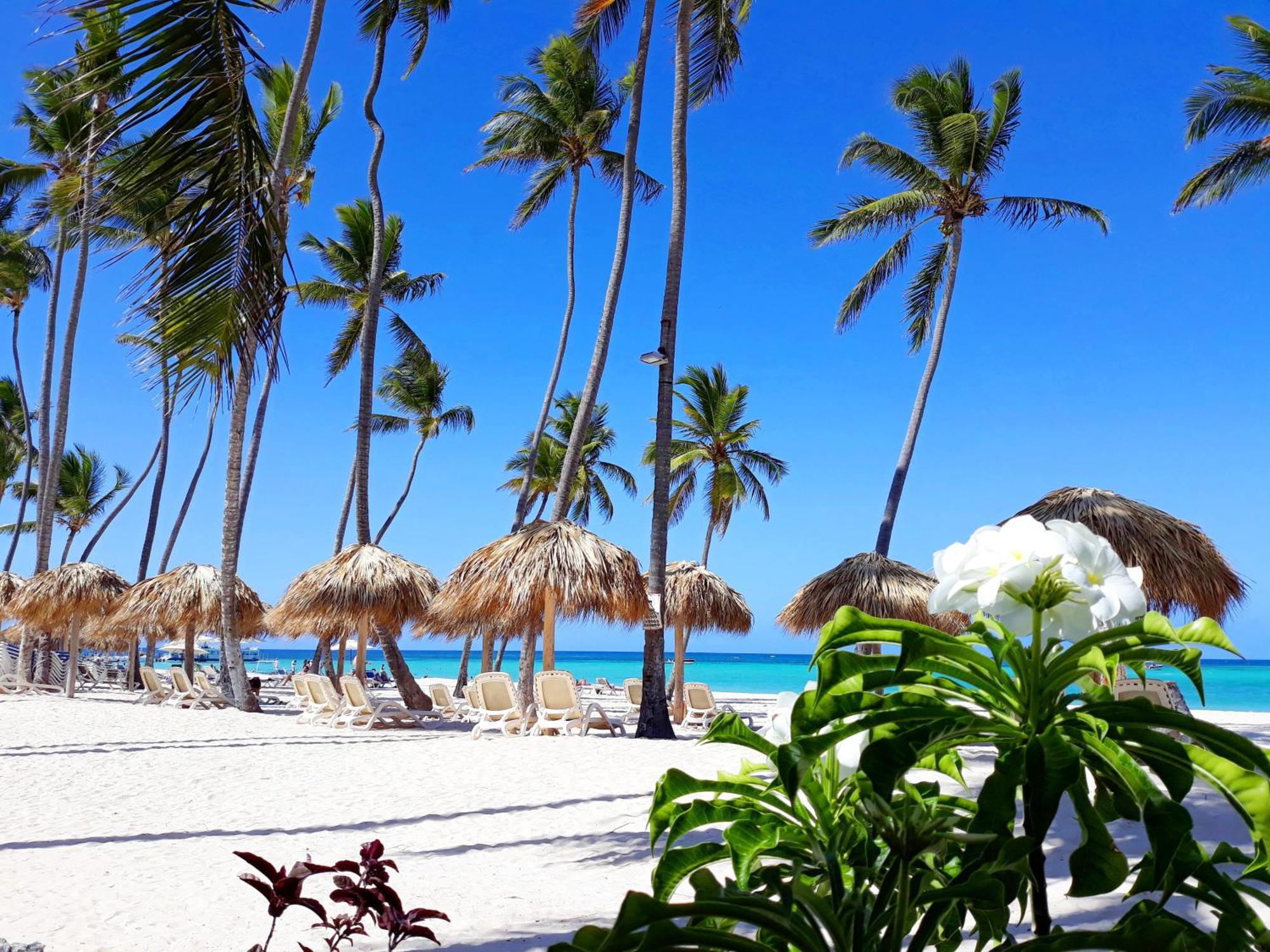 La Flor Del Caribe Beach & Spa Punta Cana Bilik gambar